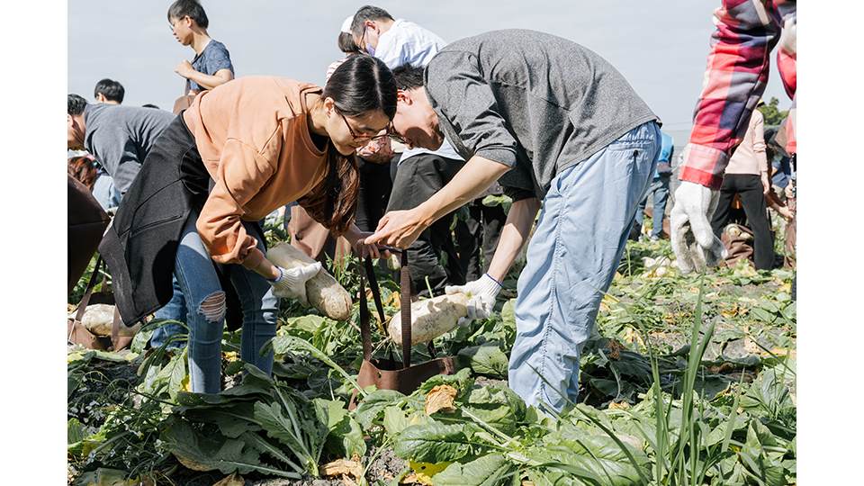 收成蘿蔔的過程讓大、小朋友們加深了與土地的連結。